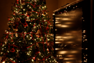 Illustration for article titled Photo Contest: Christmas Lights
